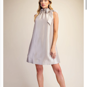 CHANPAGNE WISHES DRESS